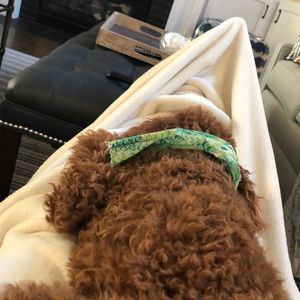 Meet your Posher, Caroline